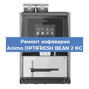 Замена | Ремонт термоблока на кофемашине Animo OPTIFRESH BEAN 2 NG в Челябинске